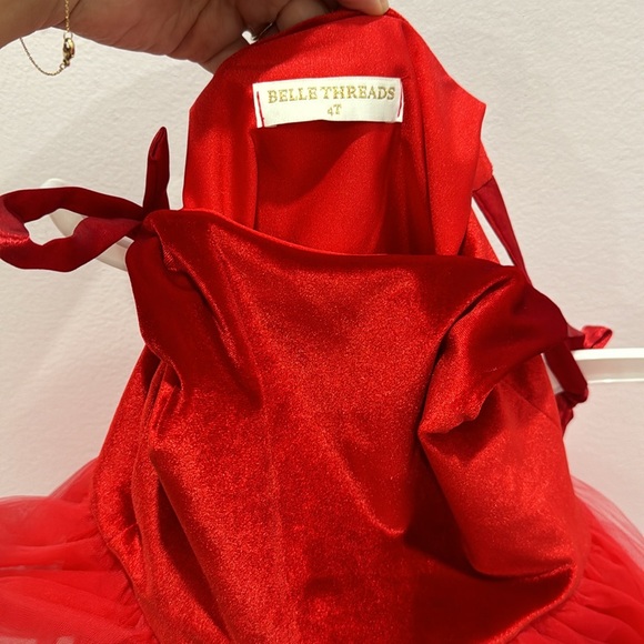 Belle threads tutu dress - Picture 3 of 4